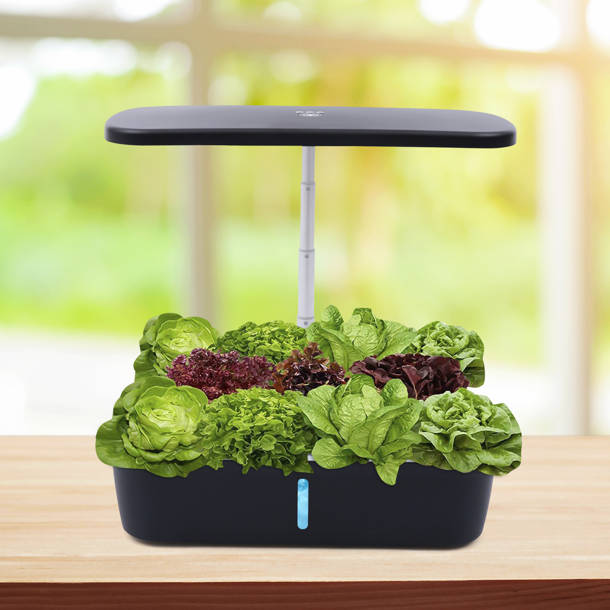 TORCHSTAR Integrated LED Grow Light, Full Spectrum Plant Growing Lamps